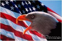 Скотство «цивилизованной демократии»