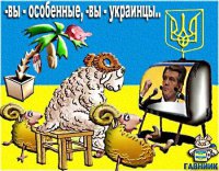 Casus nahui, как верно отметил Дивов