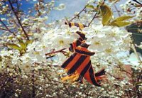 Психологи и политологи Украины призывают "не дать Востоку успеть создать русскую партию!"