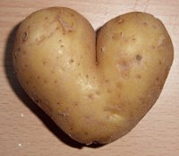 Белоруссия ограничивает ввоз картофеля с Украины