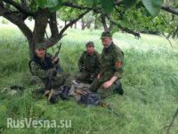 Вторая Великая Отечественная война началась в Новороссии