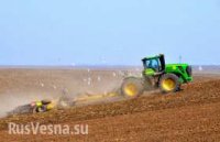 Украина не смогла продать по дешевке свое продовольствие в ЕС