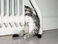 Землянский: Если человеку холодно, ему плевать на нормативы Кабмина