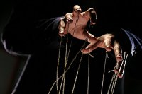 Мнение: Польша замешана в катастрофе малазийского Боинга