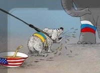 Дурдом недели