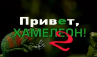 Приват, Хамелеон! 2