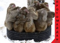 Майдановские бомжи грозятся сорвать парад на День независимости.