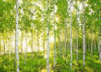 О Родине. Просто красиво, мудро и всё