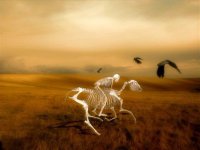 «Ще не вмерла Україна», или Сколько продлится ее агония?