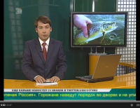 В Челябинской области появится собственное форелевое хозяйство