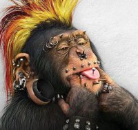 Обезьянья пропаганда