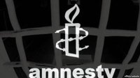 Правозащитная организация Amnesty International отправила в Фергюсон своих наблюдателей