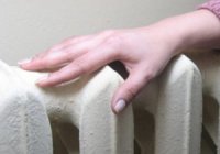 Зима для стрекоз и стрекозлов