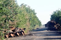 Александр Коц и Дмитрий Стешин: "Дорога смерти — дорога жизни"