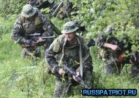 Запорожские партизаны атаковали колонну нацгадов, отступающих из Мариуполя.