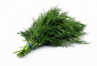 17 признаков настоящего Великого Укропа