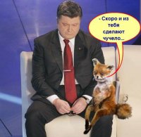 SZ: Киеву придется смириться с потерей Донбасса