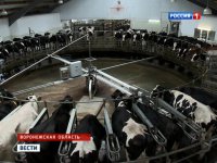 Крупнейший агрохолдинг ЕС поддержал российские антисанкции