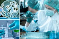 Россия закончила создание собственной вакцины против Эболы