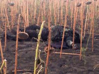 Войну необходимо прекратить, а военных преступников - судить