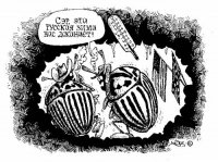 То ли, блин, плакать, то ли смеяться...