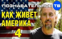 Как живёт Америка