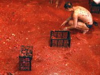 Голландцы устроили безотходные помидорные бои в знак протеста против продуктовых санкций РФ