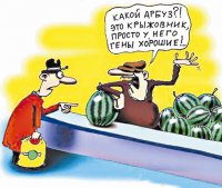 На Украине отменён контроль над генномодифицированной продукцией - ГМО