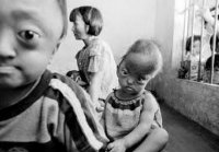 Вьетнам: моя оранжевая боль