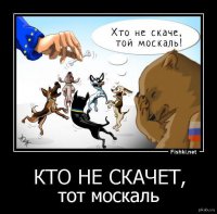 Типичный портрет русоненавистника