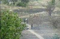 Мариуполь.Нац гвардия Украины расстреливает подростков / Nat Guard shoots teen ukraine.  Mariupol 21.09.2014