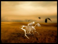 Две беды завшивленного майдана