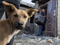 Шлапак: Украина попросит два миллиарда долларов на восстановление “второго Донбасса”