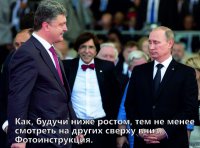 Сказка. Медведь, Хряк и Кабан. в эпизодах: Тигр, Волк