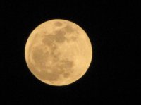 Россия "забронирует" Южный полюс Луны