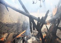 Донецкая осень