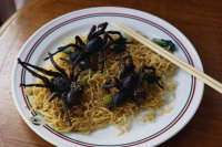 День виборiв