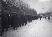 Как Эстония уморила русских белогвардейцев в концлагерях