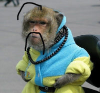 Кистень для оппо-депутатов /Владимир Скачко/