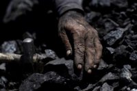 Яценюка поймали на угольных откатах