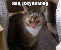 Украина остановила поставки двигателей крылатых ракет в Россию