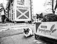 Отлученные от казначейства