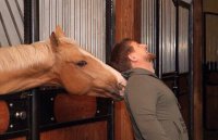 Власти Германии выплатили скакунам Кадырова заработанные призовые