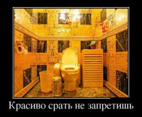 День достоинства в стране Золотого Унитаза