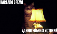 В Черниговской области СБУ задержала на территории воинской части диверсантов с картой местности