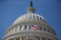 Мир без правил