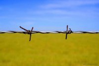 Кто заинтересован в гибели Украины?