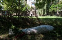 ДНР: Поддерживаем выводы миссии ООН о захоронениях в Донбассе