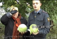 Немного юмора