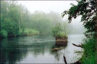 На берегу реки